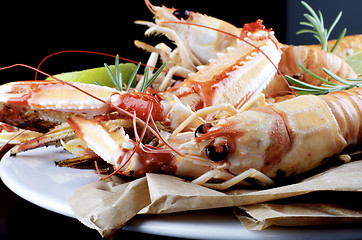 Image showing Delicious Grilled Langoustines 