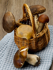 Image showing Raw Forest Mushrooms