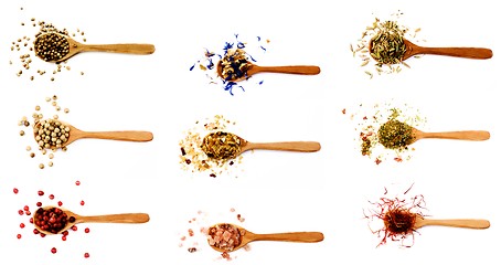 Image showing Collection of Spices