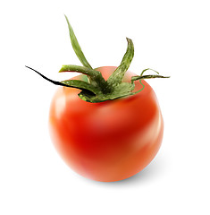 Image showing Red tomato on a white background. Vector illustration