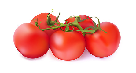Image showing Set of red tomatoes on a white background. Vector illustration