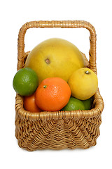 Image showing Freshness in basket