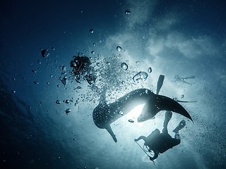 Image showing Giant whaleshark with divers