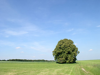 Image showing Tranquil scene