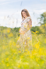 Image showing Beautiful pregnant woman in white summer dress in meadow full of yellow blooming flovers.