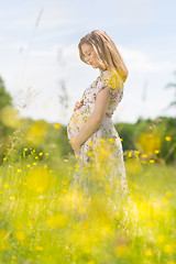 Image showing Beautiful pregnant woman in white summer dress in meadow full of yellow blooming flovers.