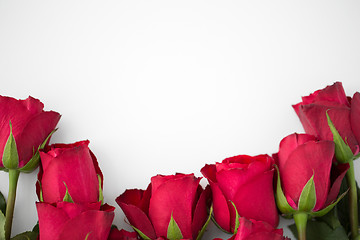 Image showing close up of red roses on white background