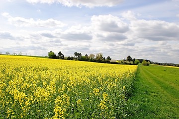 Image showing Farmland