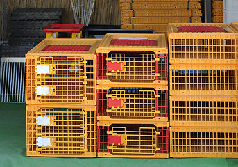 Image showing Bird Cages