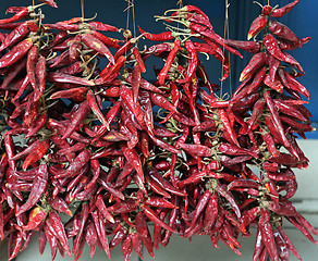 Image showing Hungary Paprika