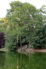 Image showing Park Pond