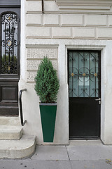 Image showing Door Plant Pot