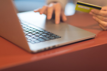 Image showing woman  shopping  Online