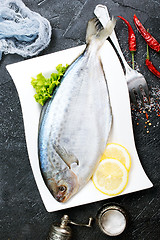 Image showing raw dorada