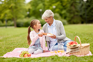 Image showing grandmother and granddaughter at picnic in park