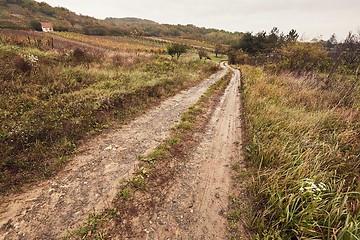 Image showing Dirtroad in the countryside