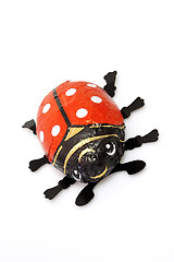 Image showing Chocolate lady bug