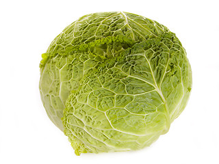 Image showing Savoy cabbage