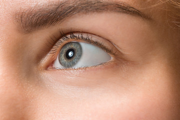 Image showing The close up eye on face of young beautiful caucasian girl