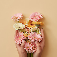 Image showing The girl\'s hands hold a beautiful bouquet of gerberas on a yellow paper background.