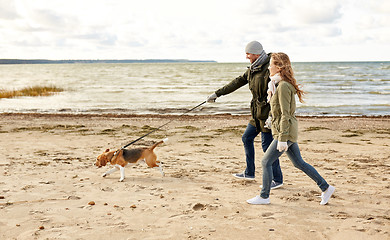 Image showing happy couple with beagle dog on autumn beach