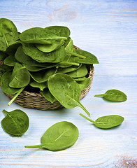 Image showing Raw Spinach Leafs