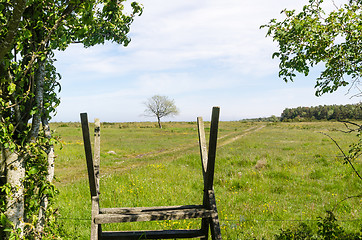 Image showing Wooden stile by a green and bright pastureland by spring season