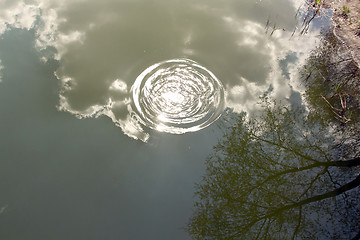 Image showing Circles on the water