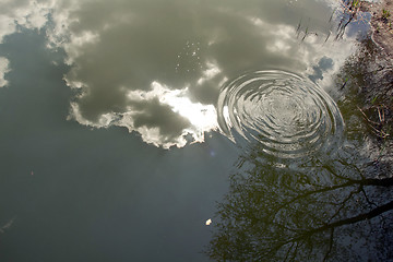 Image showing Circles on the water