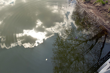 Image showing Circles on the water
