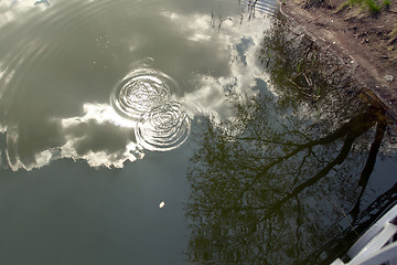 Image showing Circles on the water