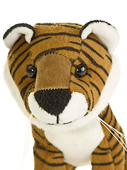 Image showing Tiger