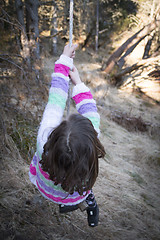 Image showing Tree Swing