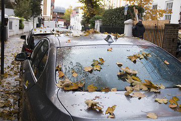 Image showing Autumn Car