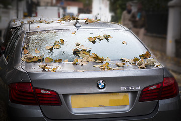 Image showing Autumn Car