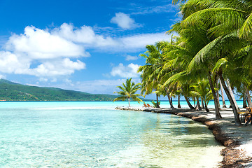 Image showing palm trees on tropical beach in french polynesia