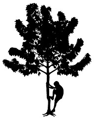 Image showing Little boy climbing tree