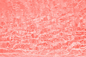 Image showing abstract living coral color background