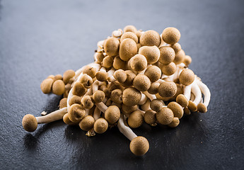 Image showing Buna Shimeji - edible mushroom from East Asia