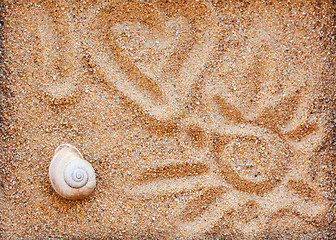 Image showing Sea shells with sand as background -