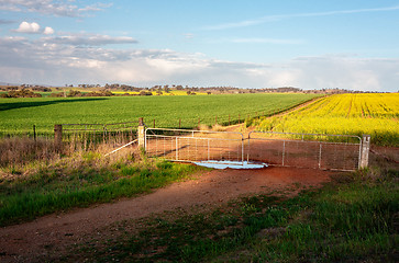 Image showing Farmlands growing crops in Cowra