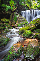 Image showing Cascading waterfall through lush rainforest