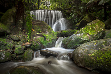 Image showing Spectacular cascading waterfall in Leura