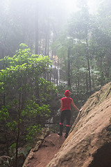 Image showing Sun shines through mist and light rain into gully of Blue Mounta