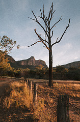 Image showing Afternoon light in the mountain valley