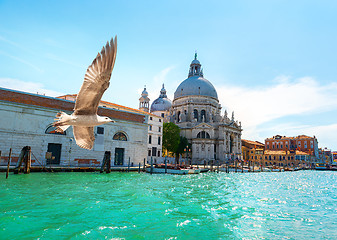 Image showing Basilica di Santa Maria