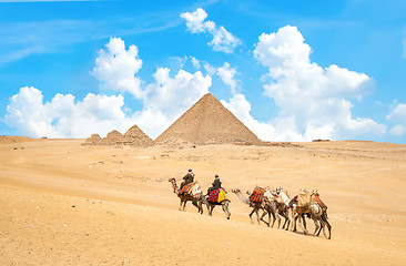 Image showing Caravan of camels