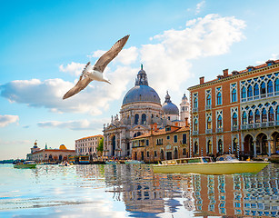 Image showing Basilica di Santa Maria