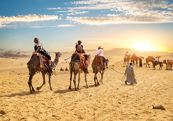 Image showing Camels and tourists