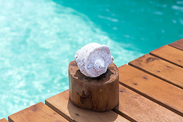 Image showing seashell on wooden pier in sea water